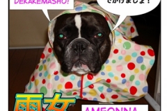 雨女=ame onna