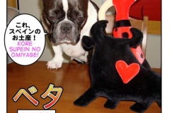 ベタ=beta