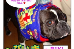 びいき=biiki