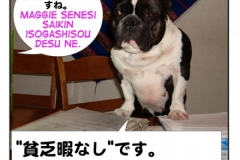 貧乏ひまなし=Binbou himanashi
