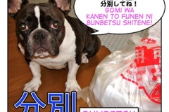 分別=bunbetsu