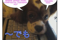 〜でも=~demo
