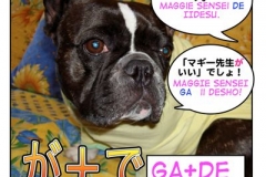 が+で=ga+de