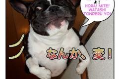何か=nanika/nanka 