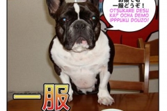 一服=ippuku