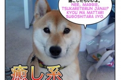 癒し系=iyaeshikei