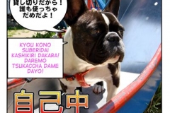自己中=jikochuu