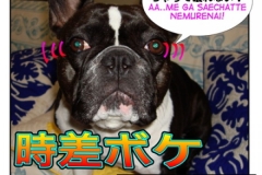 時差ぼけ=時差ボケ=jisaboke
