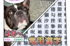 常用漢字=jouyou kanji