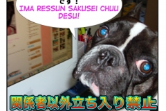 関係者以外立入禁止=kankeisha igai tachiiri kinshi