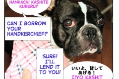 貸す=kasu & 借りる=kariru