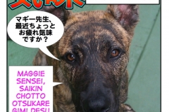 気味=gimi/kimi