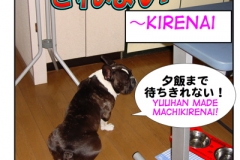 ~きれない=~kirenai