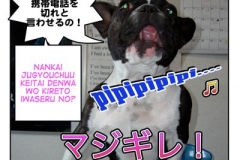 マジギレ=majigire