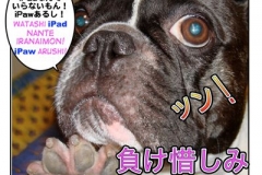 負け惜しみ=makeoshimi