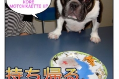 持ち帰る=mochikaeru
