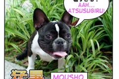 猛暑=mousho