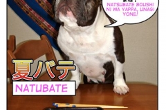 夏バテ=natsubate