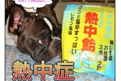 熱中症=necchuushou
