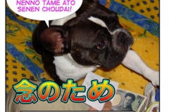 念のため=nen no tame