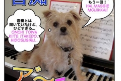 音痴=onchi