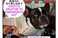 お手製=otesei