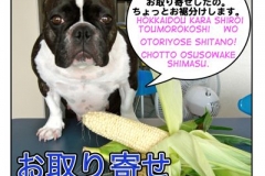 お取り寄せ=otoriyose