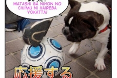 応援する　ouen suru