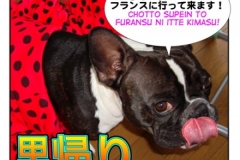 里帰り=Sato gaeri