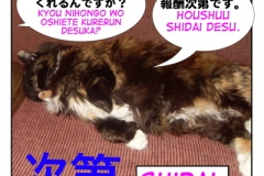 次第=shidai