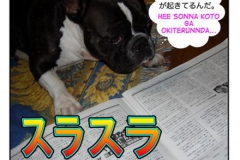 スラスラ=surasura