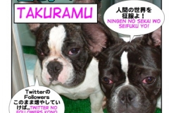 企む=たくらむ=takulramu