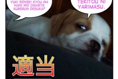 適当=tekito