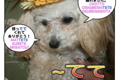 〜てて=~ tete