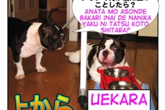 上から...=uekara..