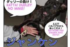 じゃんけん＝janken