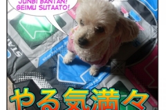 やる気満々=yaruki manman
