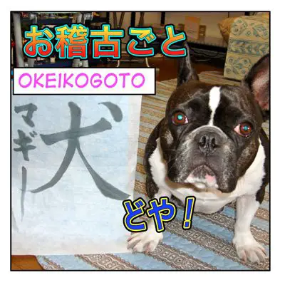okeikogoto
