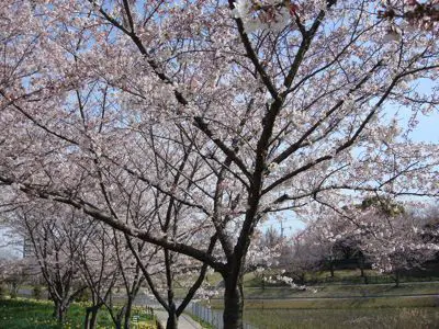 DSC03808