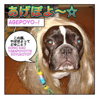 Gals Slang Words あげぽよ Agepoyo 0 Maggie Sensei