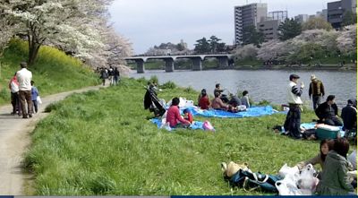 picnic