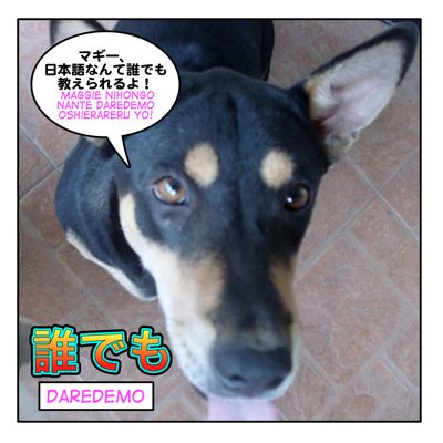 daredemo